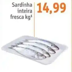 Sonda Sardinha inteira fresca oferta