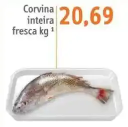 Sonda Corvina inteira fresca oferta