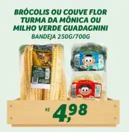Supermercado Cubatao Brocolis ou couve flor turma da mônica ou milho verde guadagnini bandeja oferta