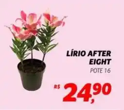 Supermercado Cubatao Lírio after eight oferta