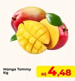 Rebouças Supermercados Manga Tommy oferta