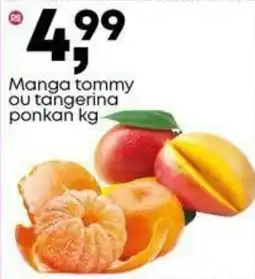 Frangolândia Manga tommy ou tangerina ponkan oferta