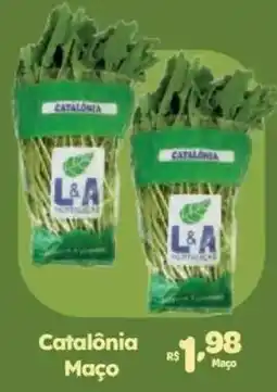 Comercial Esperança Catalônia Maço oferta