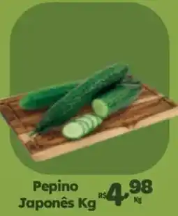 Comercial Esperança Pepino Japonês oferta