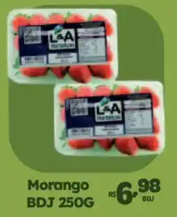 Comercial Esperança Morango BDJ oferta