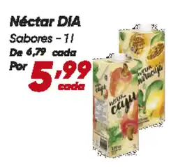 Dia Néctar DIA Sabores oferta