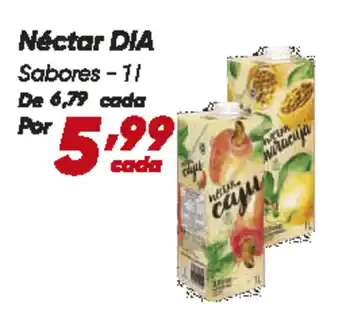 Dia Néctar DIA Sabores oferta