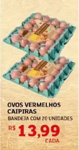 Assaí Atacadista Ovos vermelhos caipiras oferta