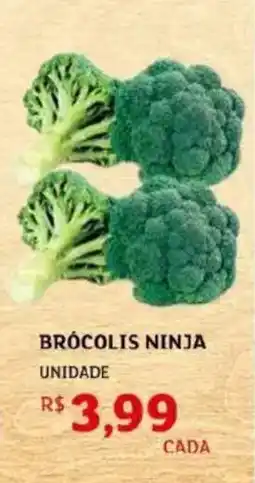 Assaí Atacadista Brócolis ninja oferta
