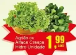 Negreiros Agrião ou Alface Crespa Hidro Unidade oferta