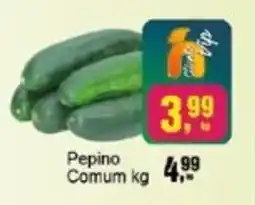 Negreiros Pepino Comum oferta