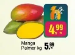 Negreiros Manga Palmer oferta