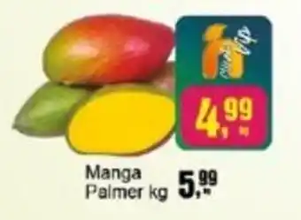 Negreiros Manga Palmer oferta