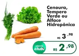 Irani Supermercados Cenoura, Tempero Verde ou Alface Hidropônica oferta