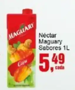 Negreiros Néctar Maguary Sabores oferta