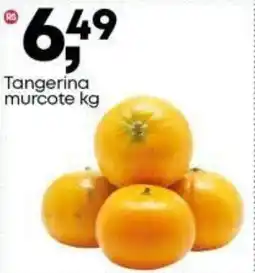 Frangolândia Tangerina murcote oferta