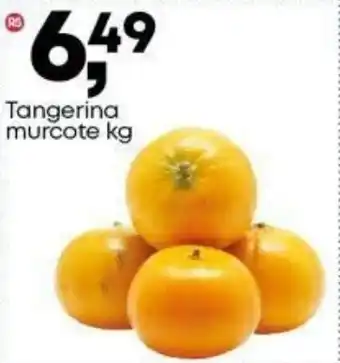 Frangolândia Tangerina murcote oferta