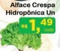 Chama Supermercados Alface Crespa Hidropônica Un oferta