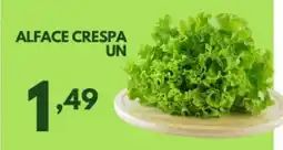 Rede Plus Supermercados Alface crespa oferta