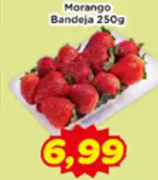 Fonte Nova Morango Bandeja oferta