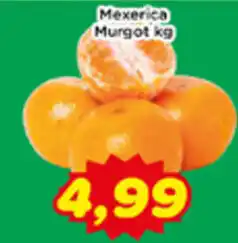 Fonte Nova Mexerica Murgot oferta