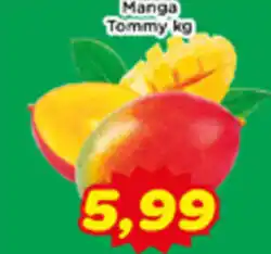 Fonte Nova Manga Tommy oferta