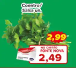 Fonte Nova Coentro/ Salsa un oferta