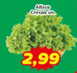 Fonte Nova Alface Crespa un. oferta