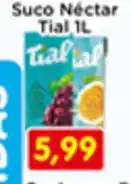 Fonte Nova Suco Nectar Tial oferta
