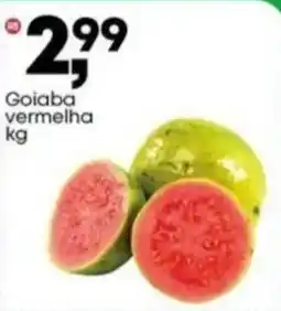 Frangolândia Goiaba vermelha oferta