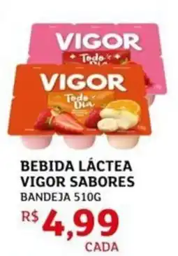 Assaí Atacadista Bebida láctea vigor sabores bandeja oferta
