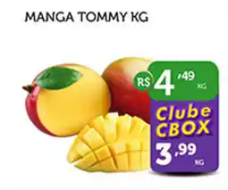 CenterBox Manga tommy oferta