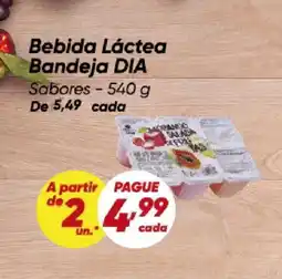 Dia Bebida Láctea Bandeja DIA Sabores- oferta