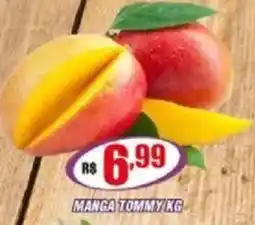 Violeta Supermercados Manga tommy oferta
