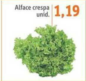 Sonda Alface Crespa oferta