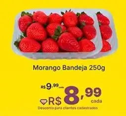 Super Lagoa Morango Bandeja oferta