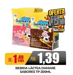 Fort Atacadista Bebida láctea damare sabores tp oferta