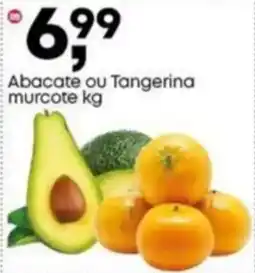 Frangolândia Abacate ou Tangerina murcote oferta