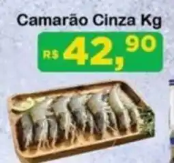 Chama Supermercados Camarão Cinza oferta