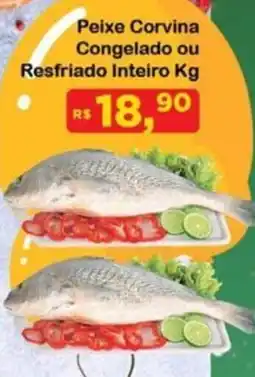 Chama Supermercados Peixe Corvina Congelado ou Resfriado Inteiro oferta