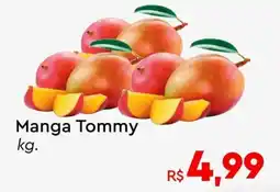 Komprao Atacadista Manga Tommy oferta