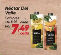 Dia Néctar Del Valle Sabores oferta