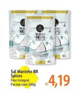 Atacadão Sal Marinho BR Spices Fino Integral oferta
