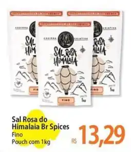 Atacadão Sal Rosa do Himalaia Br Spices oferta