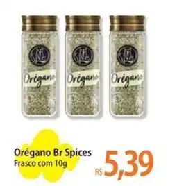 Atacadão Orégano Br Spices Frasco oferta