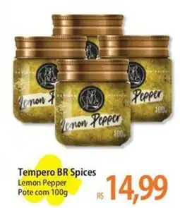 Atacadão Tempero BR Spices oferta