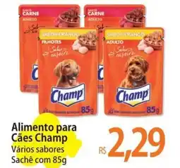 Atacadão Alimento para Cães Champ oferta