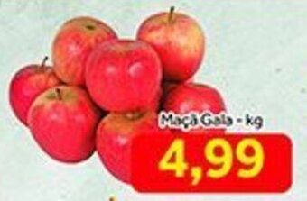 Maca Gala 1kg