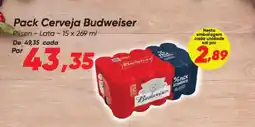 Dia Pack Cerveja Budweiser oferta