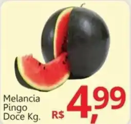 Supermercados Koch Melancia Pingo Doce oferta